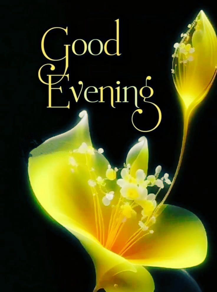 Amna_khan092's tweet image. Asslam O Alaikum ❣️ 

Good Evening Everyone 🌅 

Stay Happy, Stay Blessed 🌺🌺 

(Mutual Rt )💯