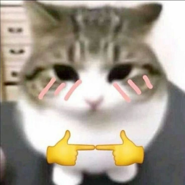 cybercats esports tweet media