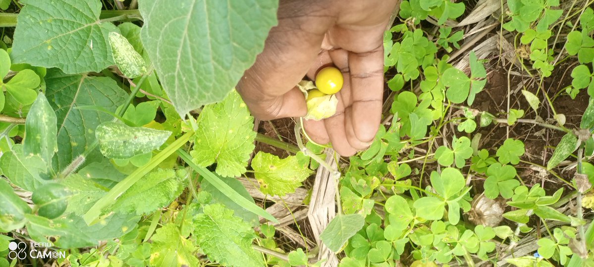 <a href="/lordkevyn/">13173</a> Uko