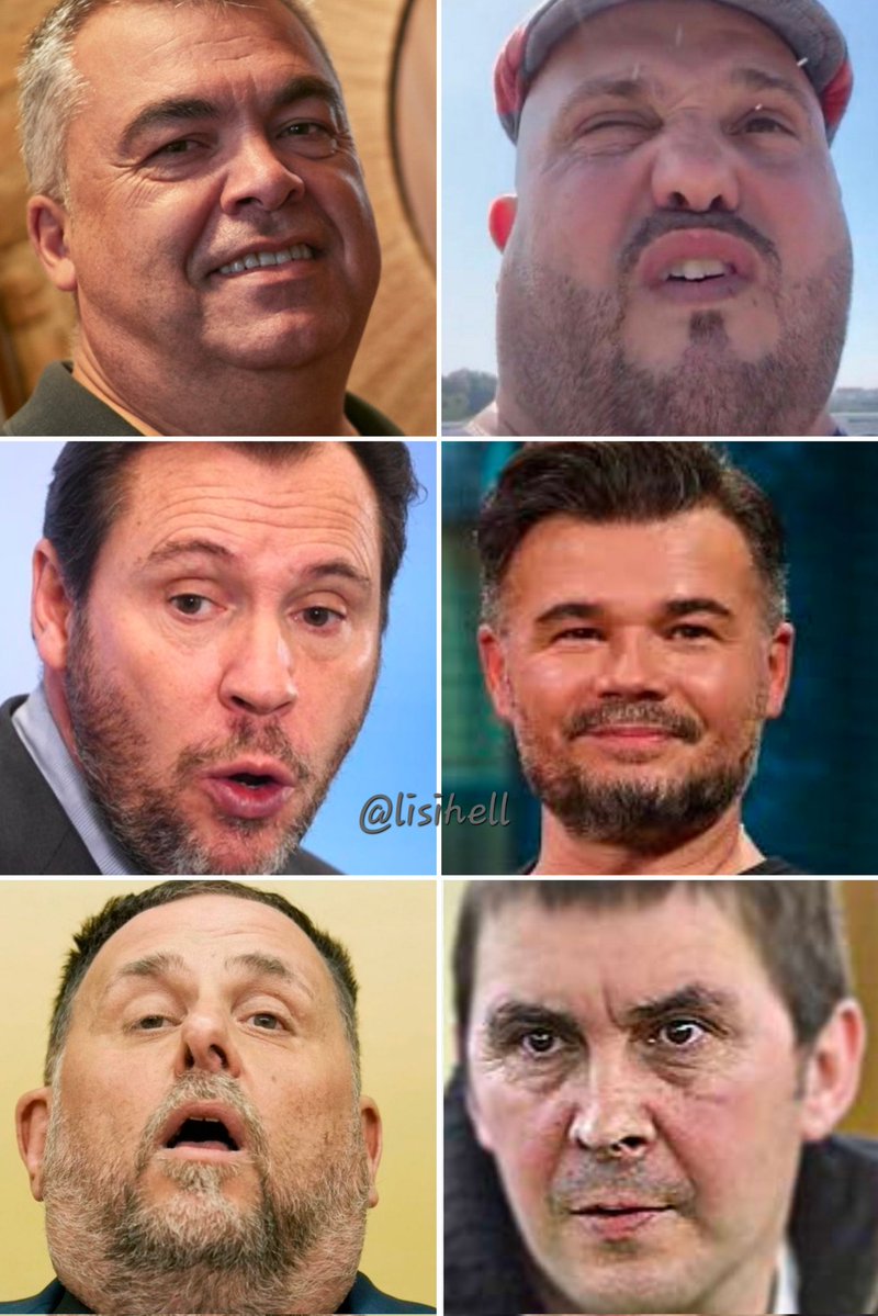 lisihell's tweet image. ⚠️ ALERTA ⚠️ Nuevos casos de PESTE PORCINA.