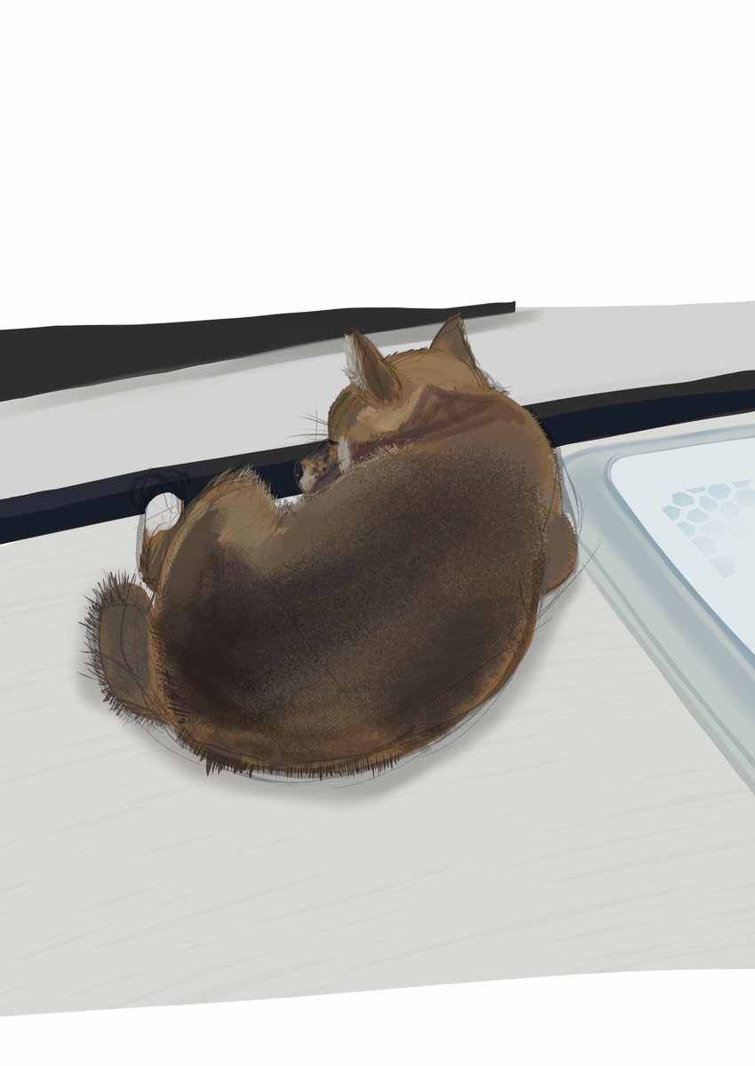 友人からもらった写真を見て描いた。
仔犬の柴ちゃんが寝ているところ。
見たものを記憶して描くというインプットとアウトプットのトレーニングなので、定規とテクスチャ等の補助ツールの使用は無し。
フリーハンドとデフォルトのブラシ。
はやく退院してウチの柴ちゃんとまた散歩したい。