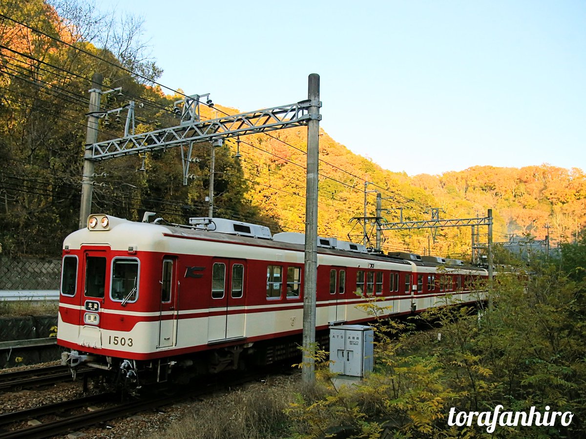 ヒロさん (@torafanhiro) / Posts / X