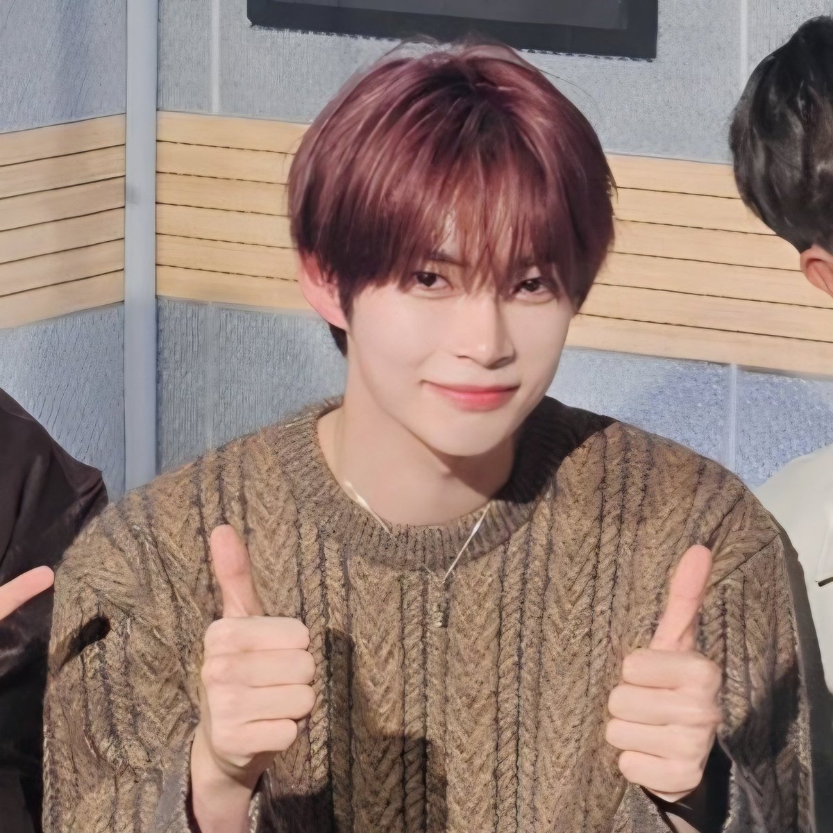 hamslighting's tweet image. 햄냥이 귀여워 히히