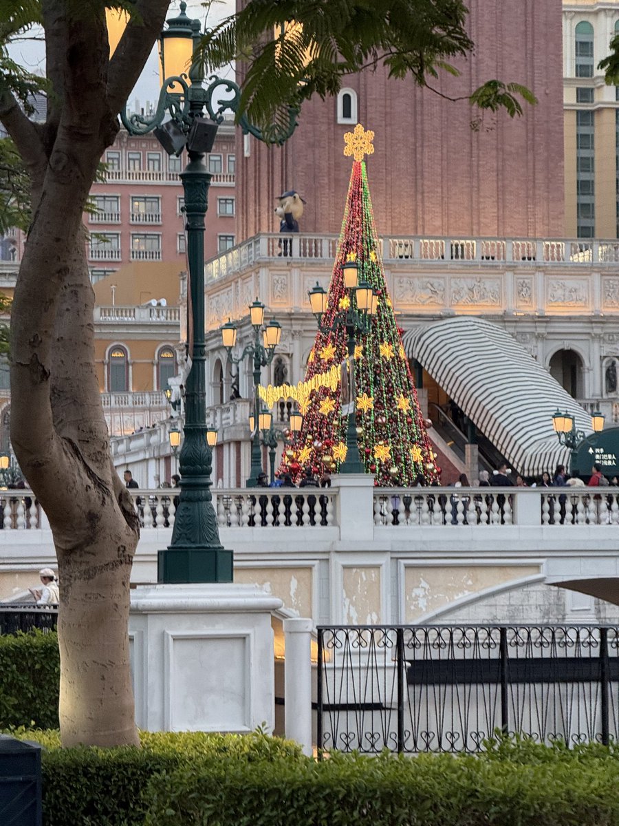 cdefsolutions's tweet image. 헝컹에 있느라 벨로주를 못갔다지요 눙물