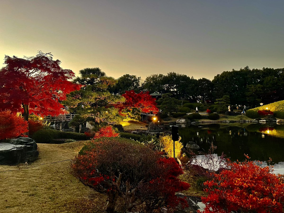 chisa_0725's tweet photo. 紅葉ライトアップ🍁
仁徳天皇陵古墳を見る気球が月に見える🌕
熊雄とミャクミャク電車旅
#大仙公園
#日本庭園
#月
#気球
#熊雄
#ムッシュ熊雄
#ミャクミャク https://t.co/OApzdJLyYb