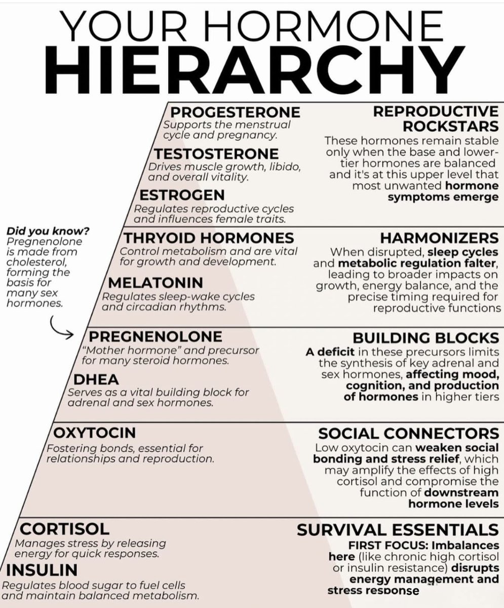 Your hormone hierarchy, did you know this?