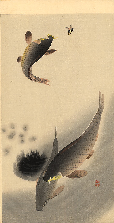 JapanTraCul's tweet image. Carp and Bee, by Ohara Koson, ca. 1910