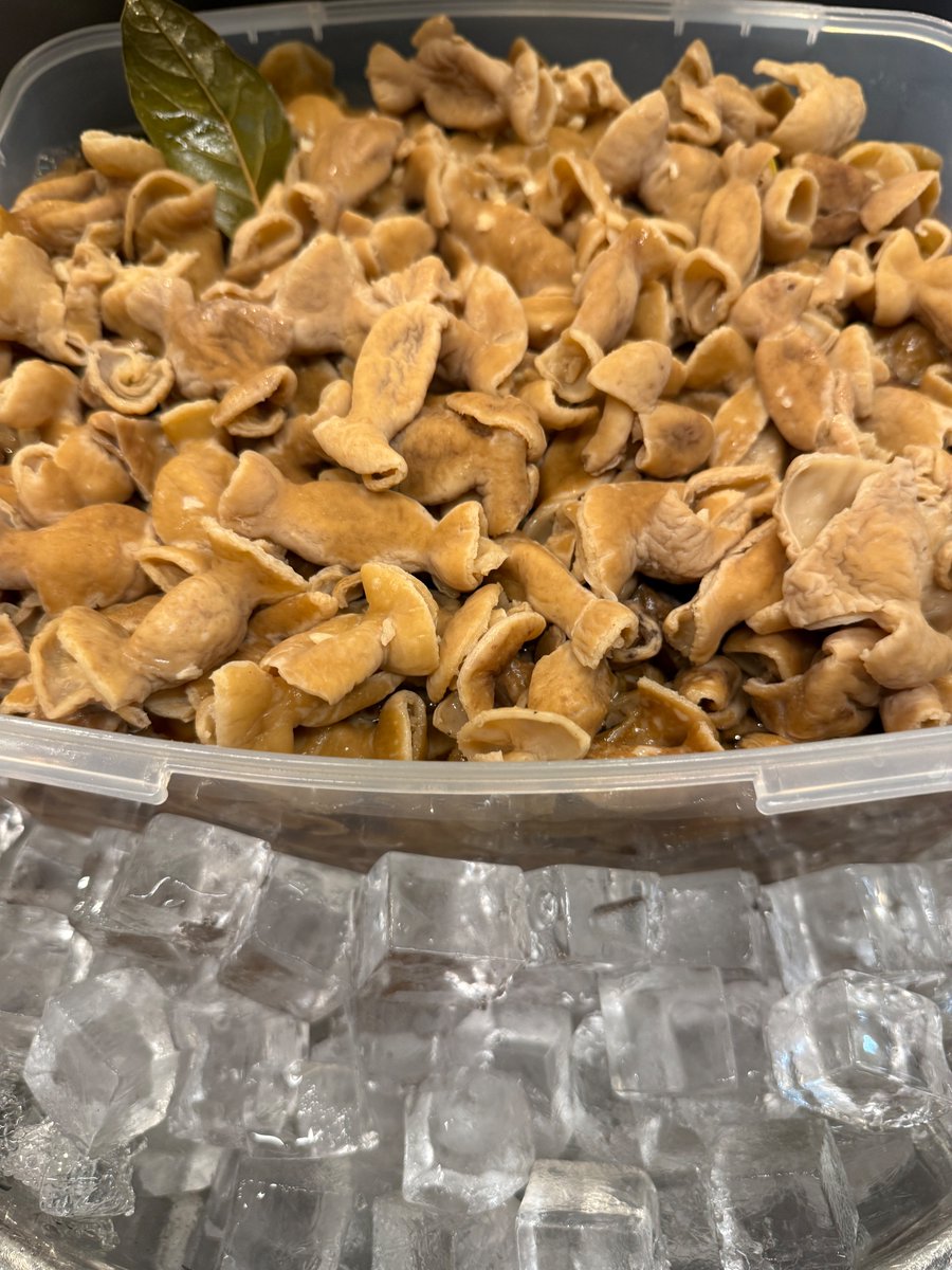 どんぐり (@dondondonguri55) / Posts / X