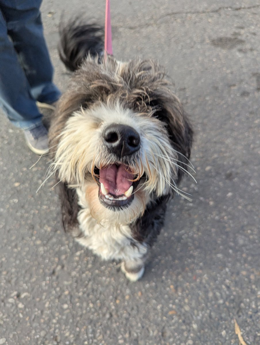 Played some VR again for the first time in years and man I forgot how cool VR games can be. Especially VR Zombie Games.
They don't have to look fantastic to be good, plus they still manage to tell interesting stories