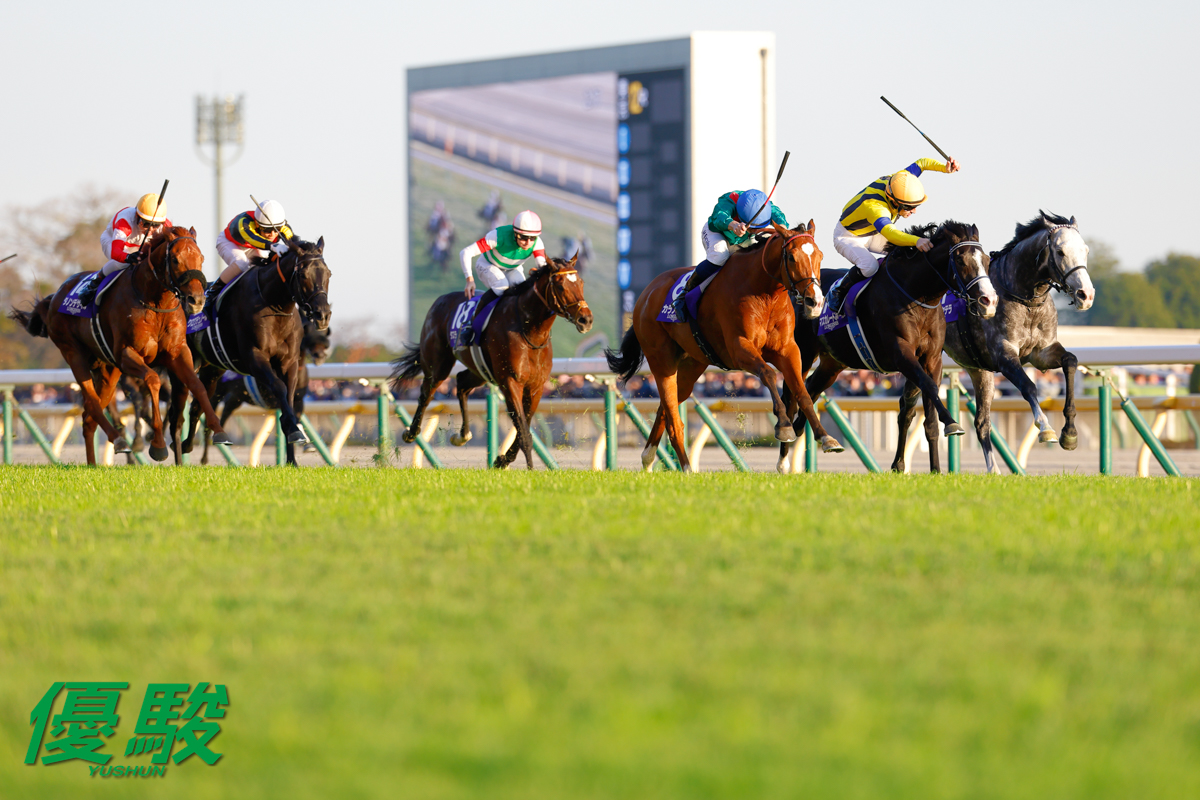 第45回 #ジャパンカップ は欧州年度代表馬 #カランダガン が11番手から