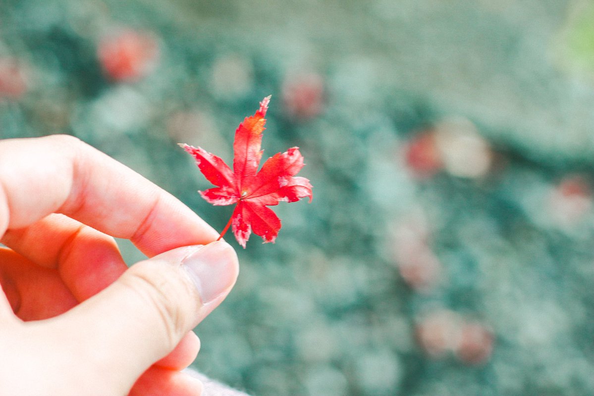 おいも (@oimo_3939) / Posts / X