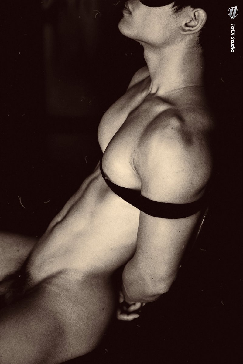 TaiJiStudio tweet media