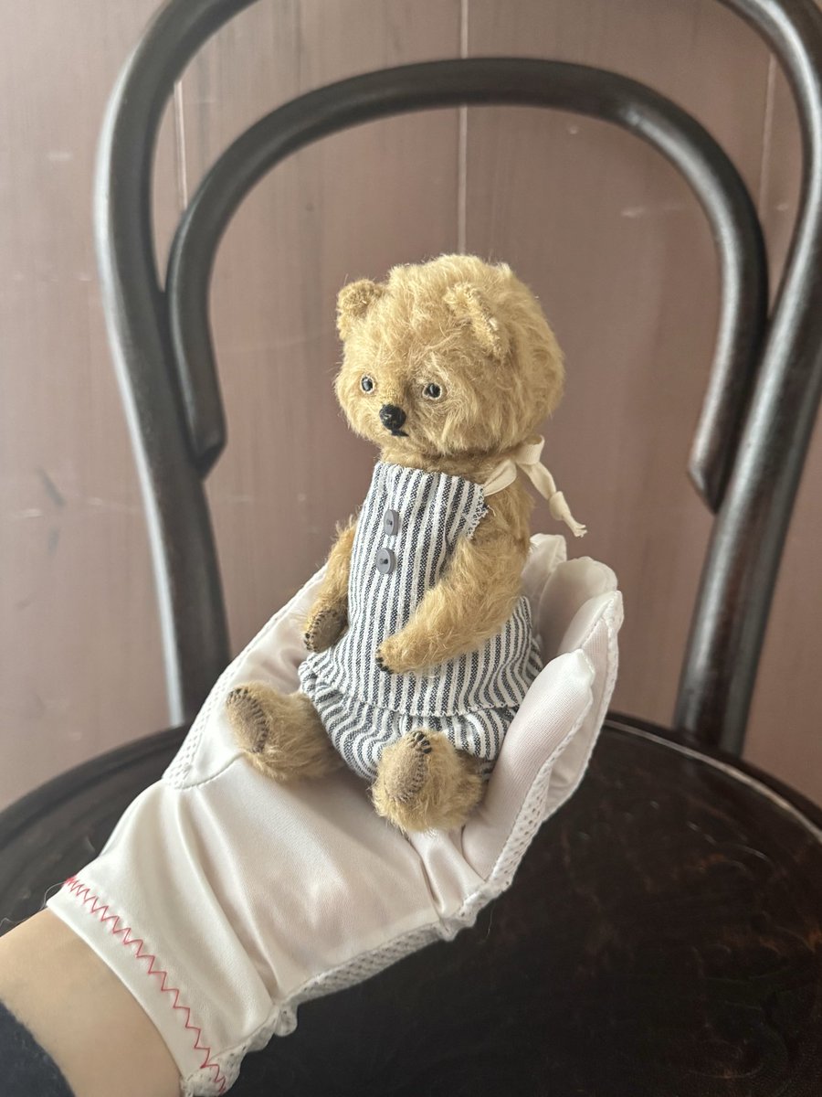 harubear (@haru__f) / Posts / X