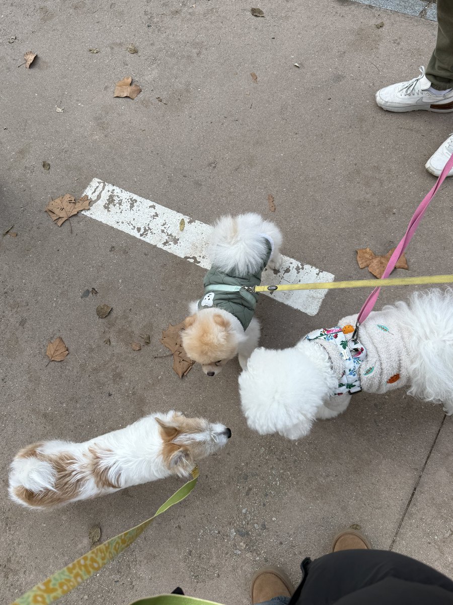 이렇게 모여서 코인사 할때 귀여우ㅜ