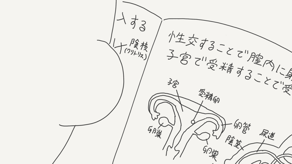 horideiyasumi's tweet image. タイミングの絵です。