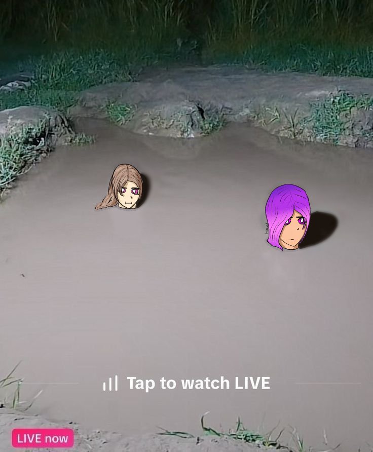 Timecreaturez's tweet image. What are they doing 
#rainimator