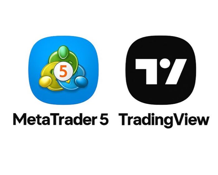 DemetriusRO6's tweet image. 