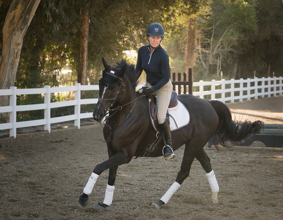 HeatherLtopanga's tweet image. But how does one determine the claimer is &quot;good&quot;? As an anti-race peep, it seems claiming is away to rid your stable of also-rans. I&apos;m sure I will be educated on this, but glad my horse wasn&apos;t claimed in his claiming races, or God knows where he may have landed, 10 yrs w/me now!