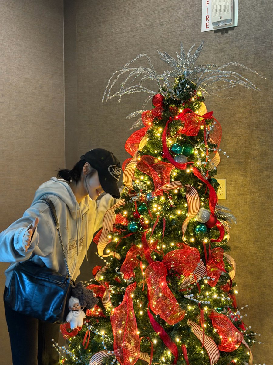 jjsbbl's tweet image. [251130]💌📸  ‘cosmo room update’
i really love it whenever i see a christmas tree hehe
i even planned to buy a tree this time,
but since i’m probably going back to korea in mid december it felt like a bit of a waste so i decided not to buy one
i’ll save it for next year hehe
