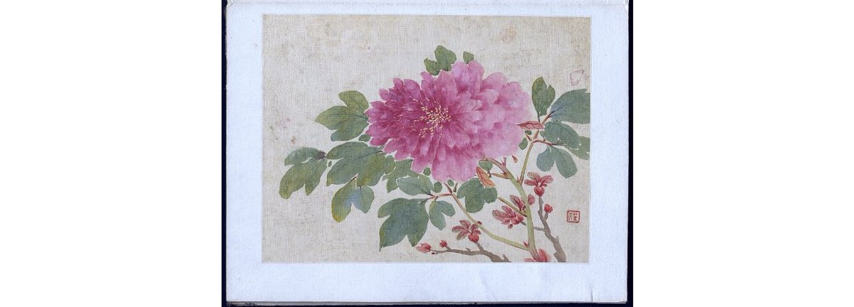 SOAS_SpecColl's tweet image. This image is from an album of paintings of flowers, fruits, birds and animals by Chinese artist Jiang Liren, c. 1774 #EYABeauty