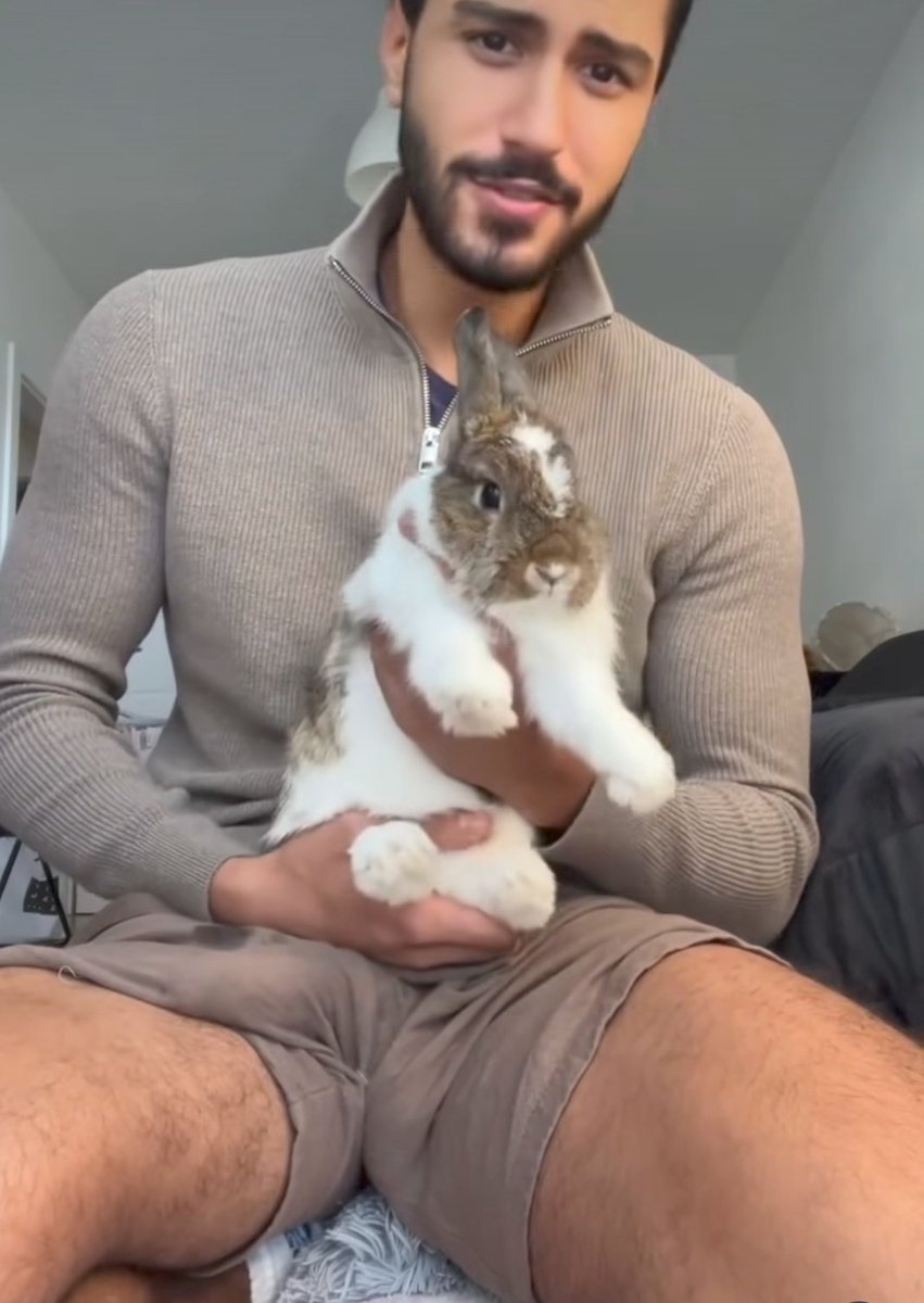 لاموژین tweet media