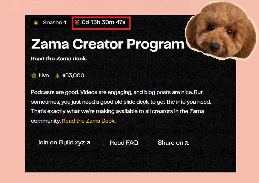 defipoodle's tweet image. gZama fam
about 13 hours left on season 4 clock. 

if u still posting about @zama and fhe, ur not late, this is the real sprint. keep it simple today: 3-4 clean posts with real value, smart replies, no spam, tag @zama and use #ZamaCreatorProgram. 

top 100 gets monthly rewards,…
