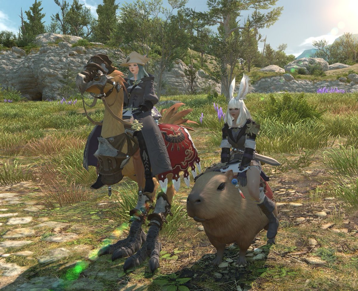 _juriye's tweet photo. Got my Chocobo back after xx years while playing FF14 with my dork.  ₍ᐢ..ᐢ₎♡ 

Welcome back my Mangopuddin! 🐣

🌻
ss credit to @cyyohnara https://t.co/XEthQoDJ1o