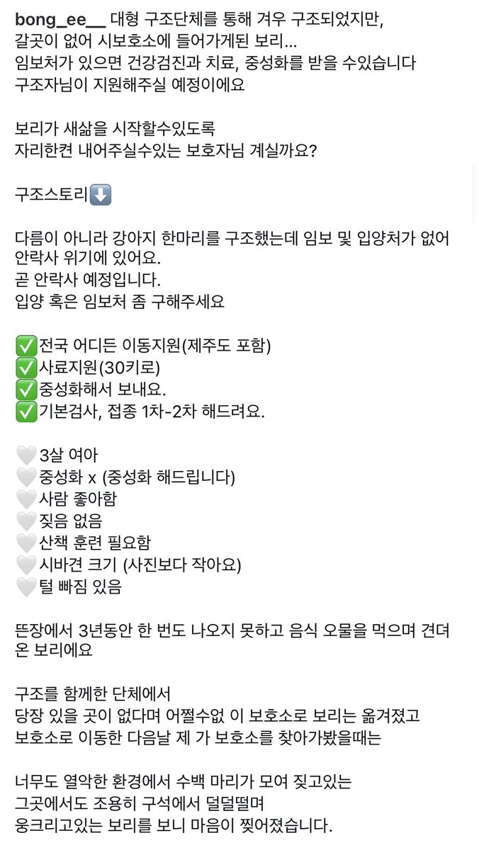 긴급임보 구합니다🆘🆘🆘

구조단체 통해서 겨우 구조했는데 시보호소에 들어아 2주뒤 안락사 예정이라고 합니다

임보처있으면 건강검진/중성화 가능해요
2살밖에 안된 8kg 순한 댕댕이에요

검진과 치료(필요하다면) 중성화되면 이후 임보나 입양구하기 쉬워질거에요…
보리 한번 봐주세요