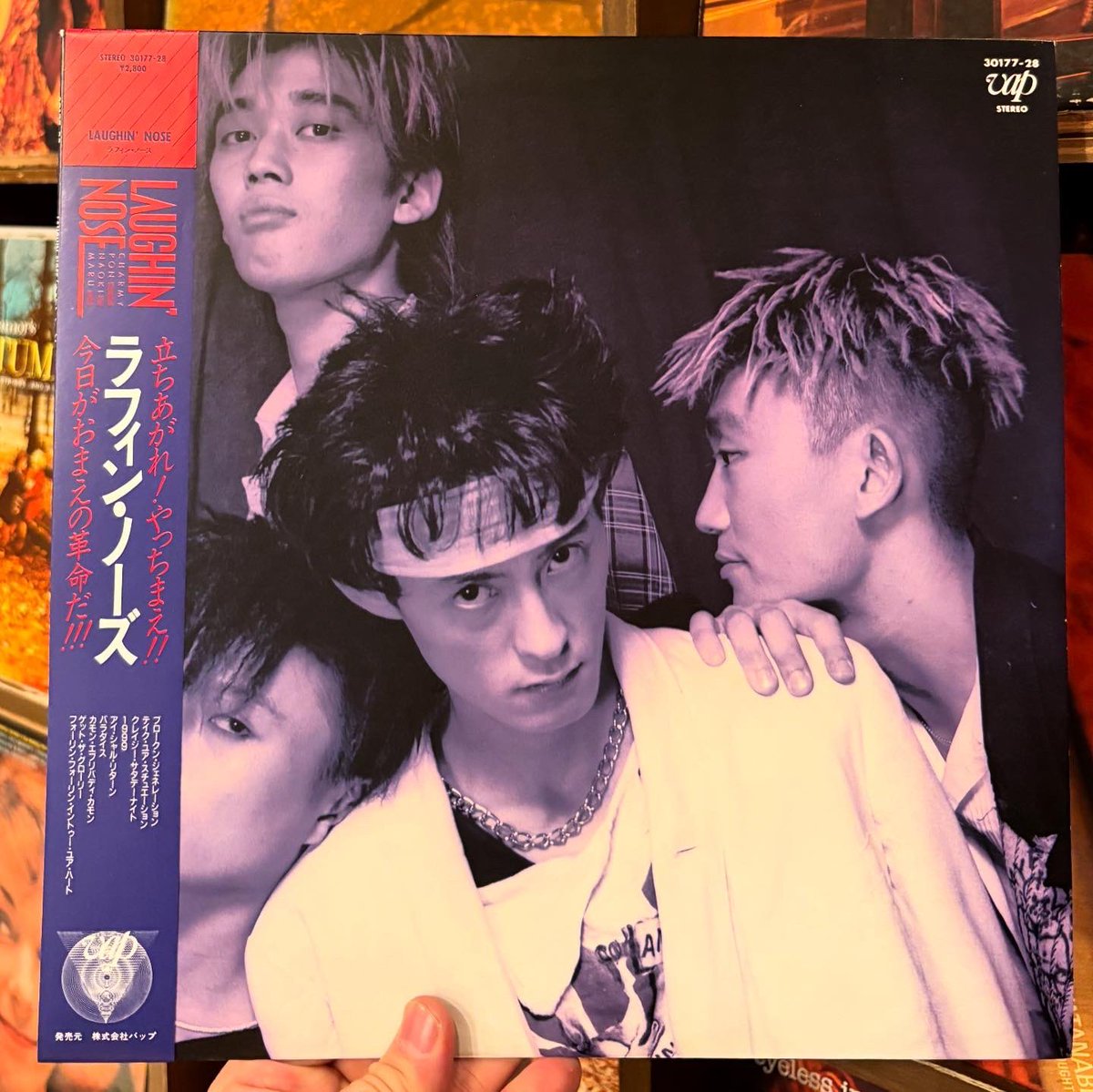 LAUGHIN' NOSE / ラフィン・ノーズ LP入荷🎉 ラフィンのメジャー