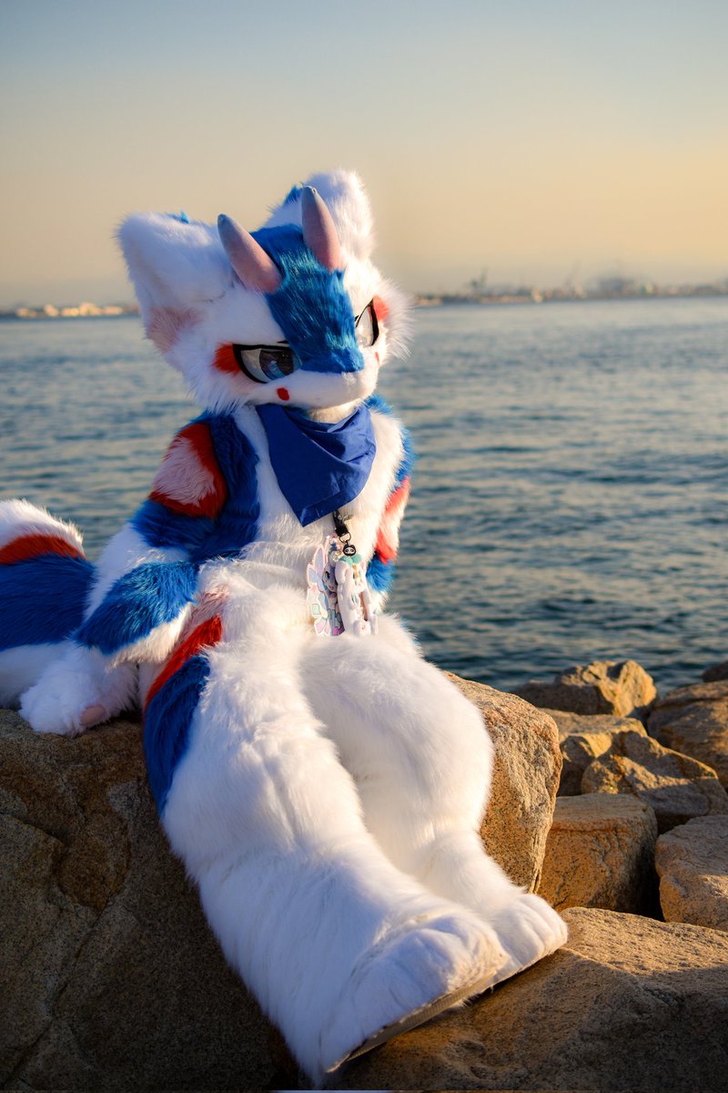 #けもがしま5フォトコン 
冒険の間にひと休み!!