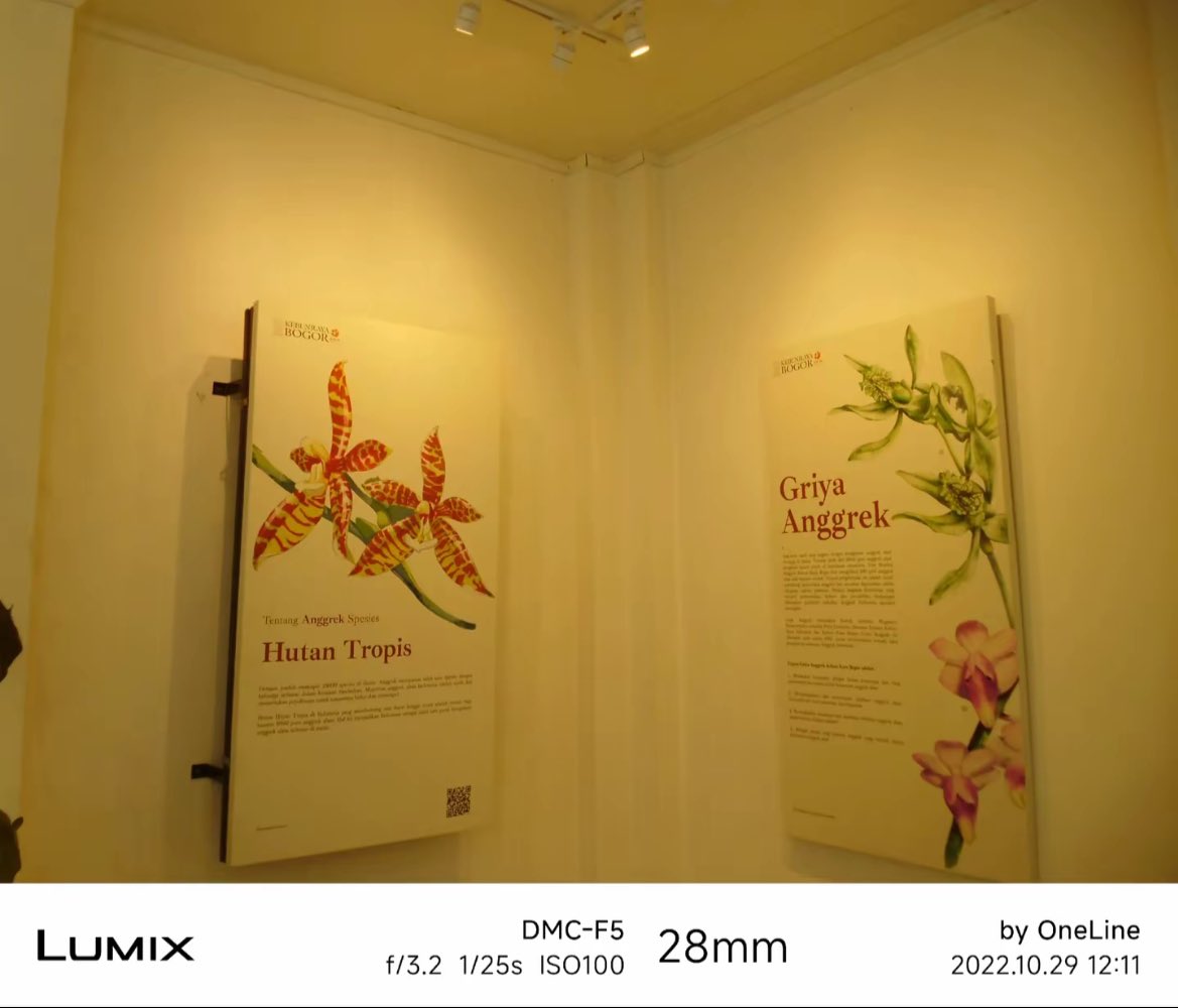 mamanyahachii's tweet image. WTS LUMIX DMC F5

- berfungsi normal✅
- flash on✅
- zoom in/out aman✅

(-) layar kotor dikit tapi ngga ngaruh sama sekali ke hasilnya

kelengkapan: unit, memori, card reader, pouch, strap

harga: 850k
shopee on✅
#zonauang #wts #wtsdigicam #lumix