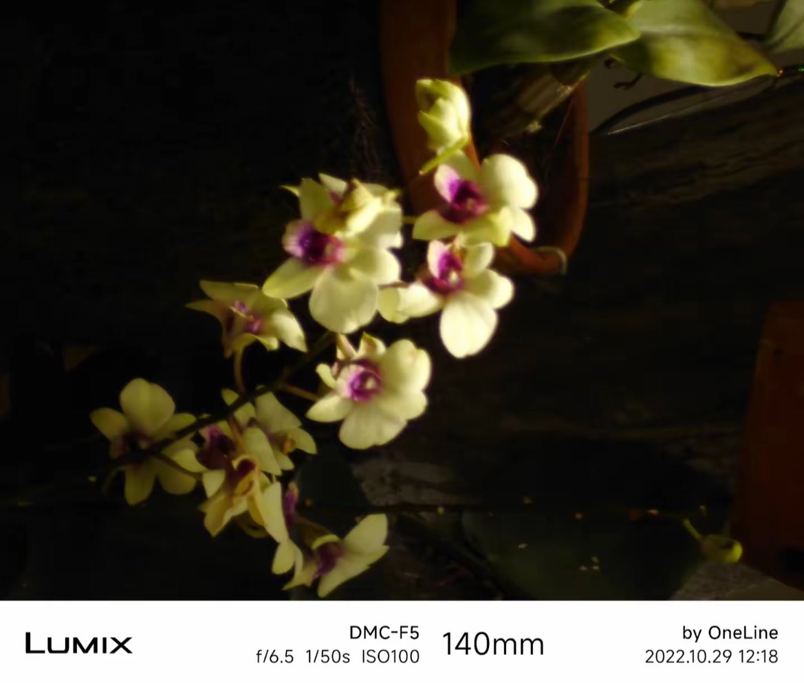 mamanyahachii's tweet image. WTS LUMIX DMC F5

- berfungsi normal✅
- flash on✅
- zoom in/out aman✅

(-) layar kotor dikit tapi ngga ngaruh sama sekali ke hasilnya

kelengkapan: unit, memori, card reader, pouch, strap

harga: 850k
shopee on✅
#zonauang #wts #wtsdigicam #lumix