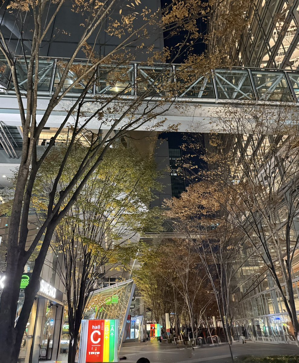 4f48kpMjSS8hjPt's tweet image. 25/11/30 林部智史 CONCERT TOUR 2025・秋〜愛させてくれてありがとう〜追加ファイナル公演 in 東京国際フォーラム ホールＣ〜11月末日歩行者天国の銀座から有楽町へ🚶‍♀️終始特別気分でコンサートを楽しめたのは驚きのゲストやバンドさん他スタッフさんの意気込みと林部智史さんの渾身のパフォーマンス💓