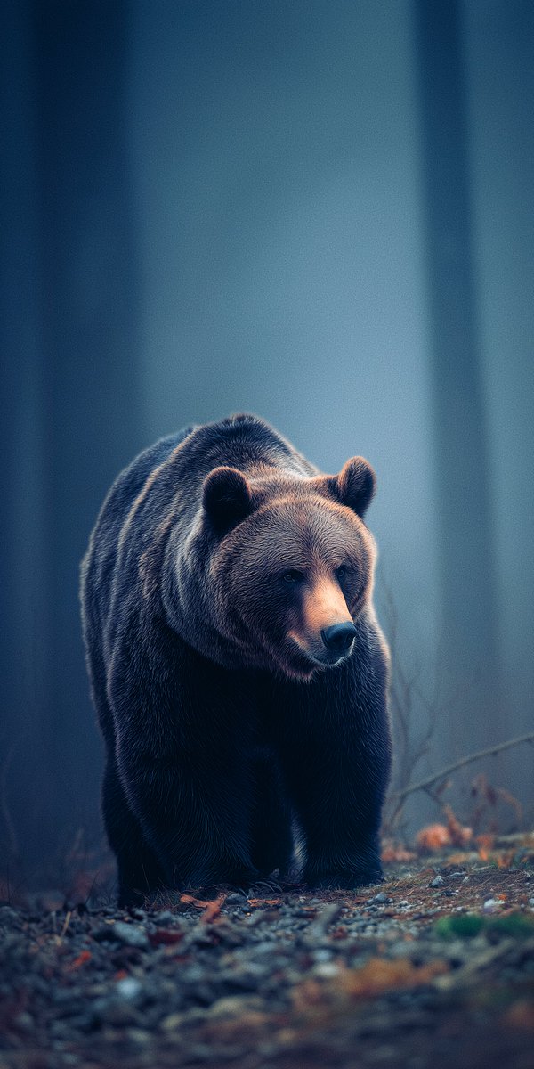 Infinity Pixels tweet media