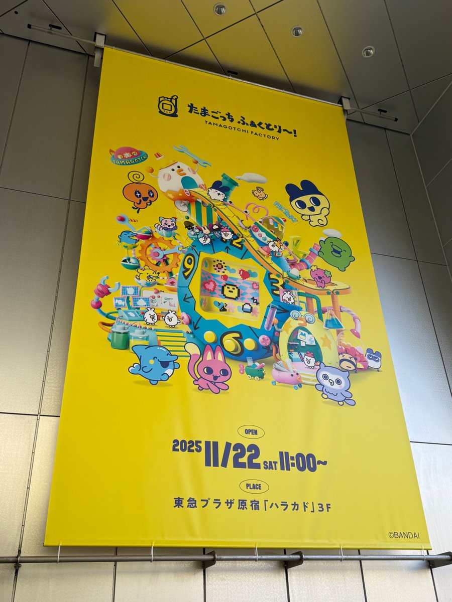 ぬこ (@nukonokonuko) / Posts / X