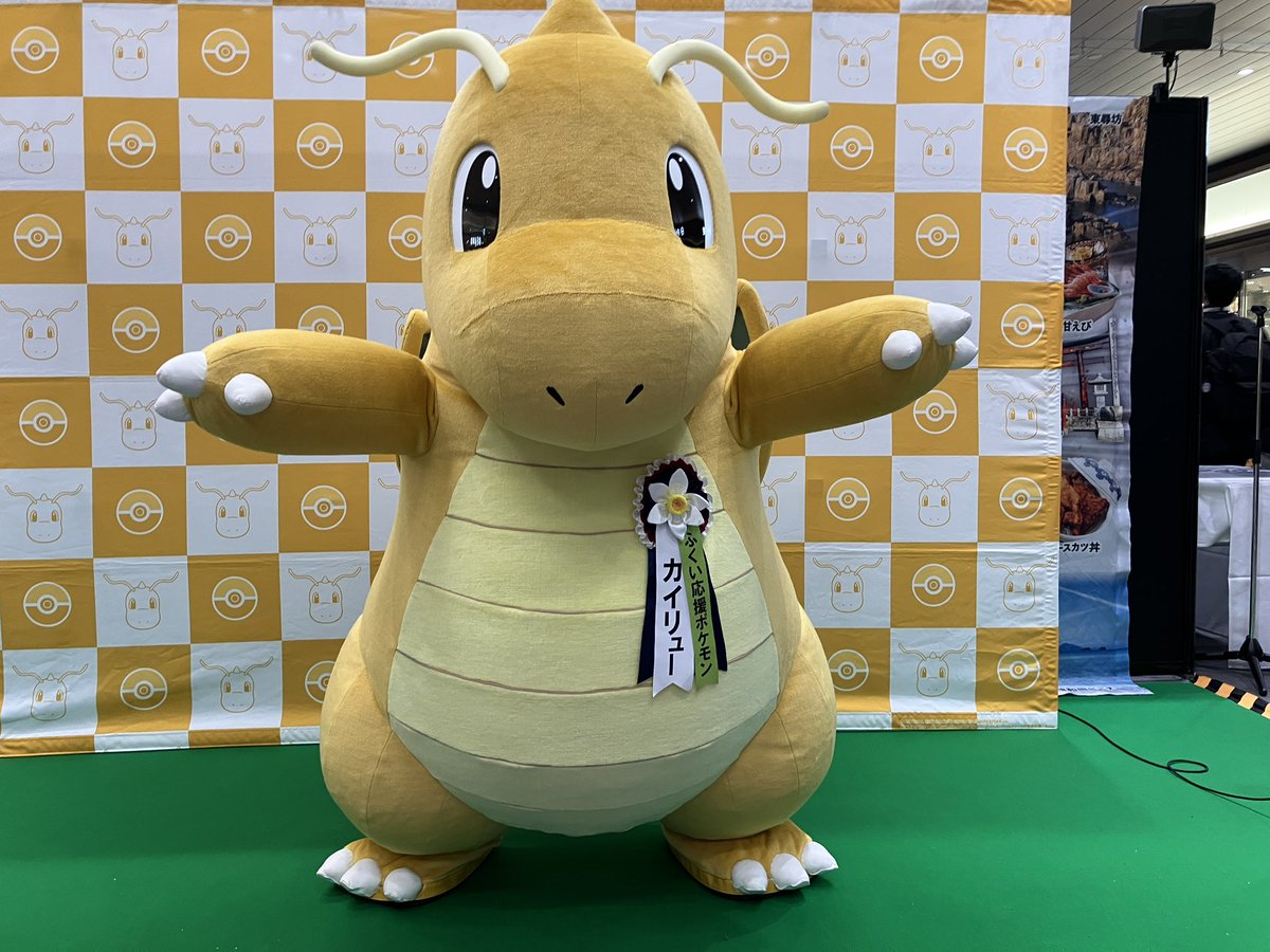 カイリューちゃん カイリュー