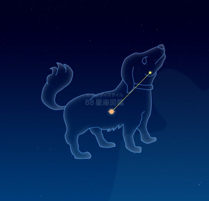 たった2本の線で興奮するワイがおるんやからその1本の線で犬に興奮する