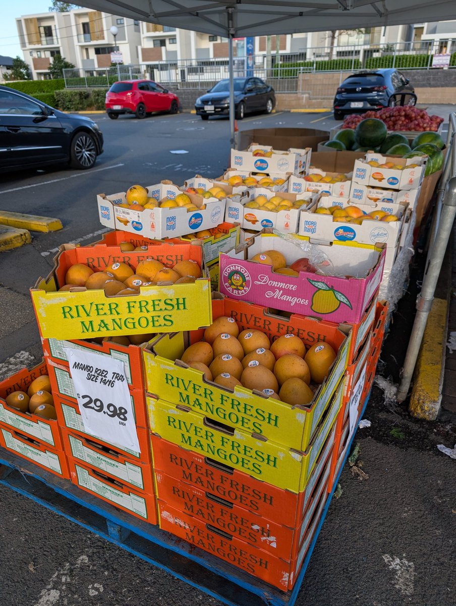 芒果出籠，不便宜，想當年是$10，比這個大