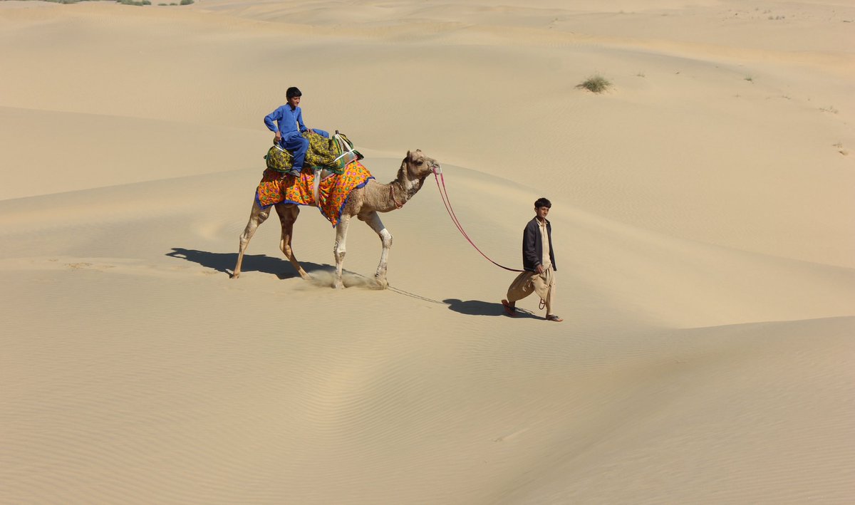 Tribal boys, no school in this uninhabited desert, they tend to their camels, and help their parents survive.  
Shot on: Canon 
Photography: Manish Gupta