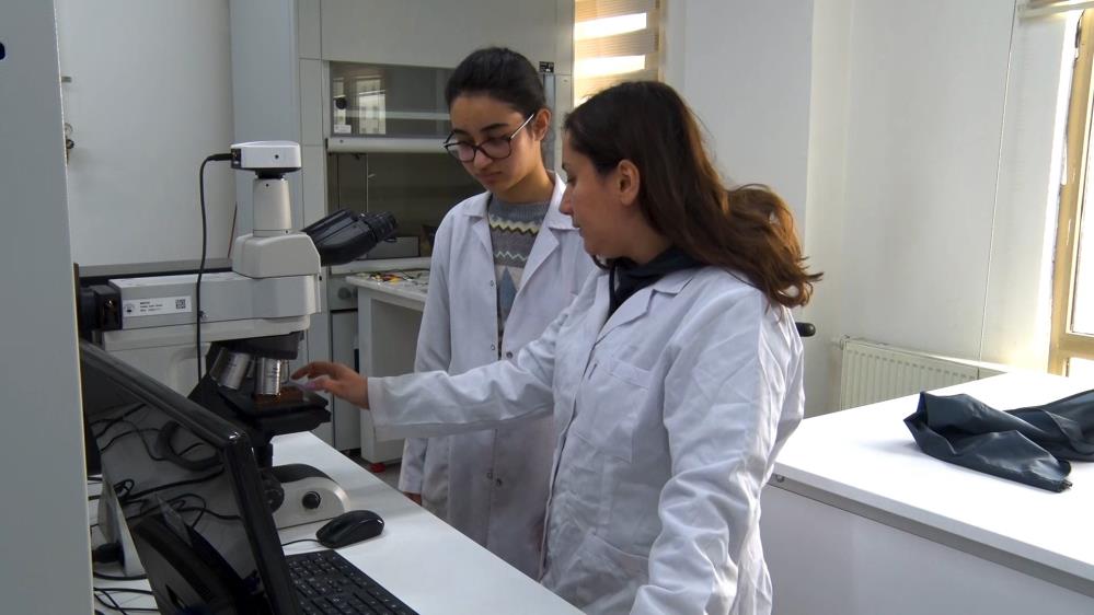 turkhabercom's tweet image. Bursa'da lise öğrencileri bir ay boyunca üniversiteli oldu
turkhaber.com/haber/bursa-da…

#bursa #btu #haber