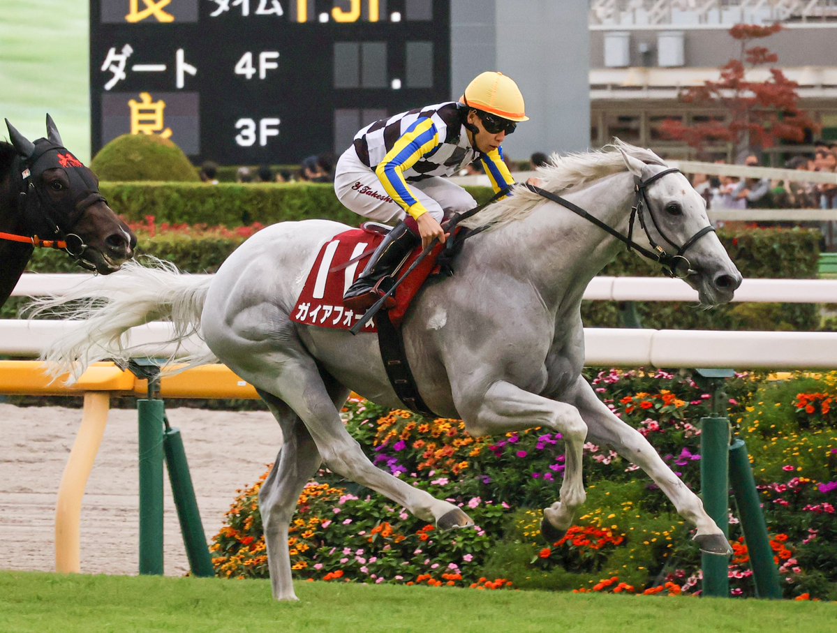 keiba_info_club's tweet image. ガイアフォース

芦毛がマイルCSで2着以内に入るのは、1989年オグリキャップ(1着)以来36年ぶり