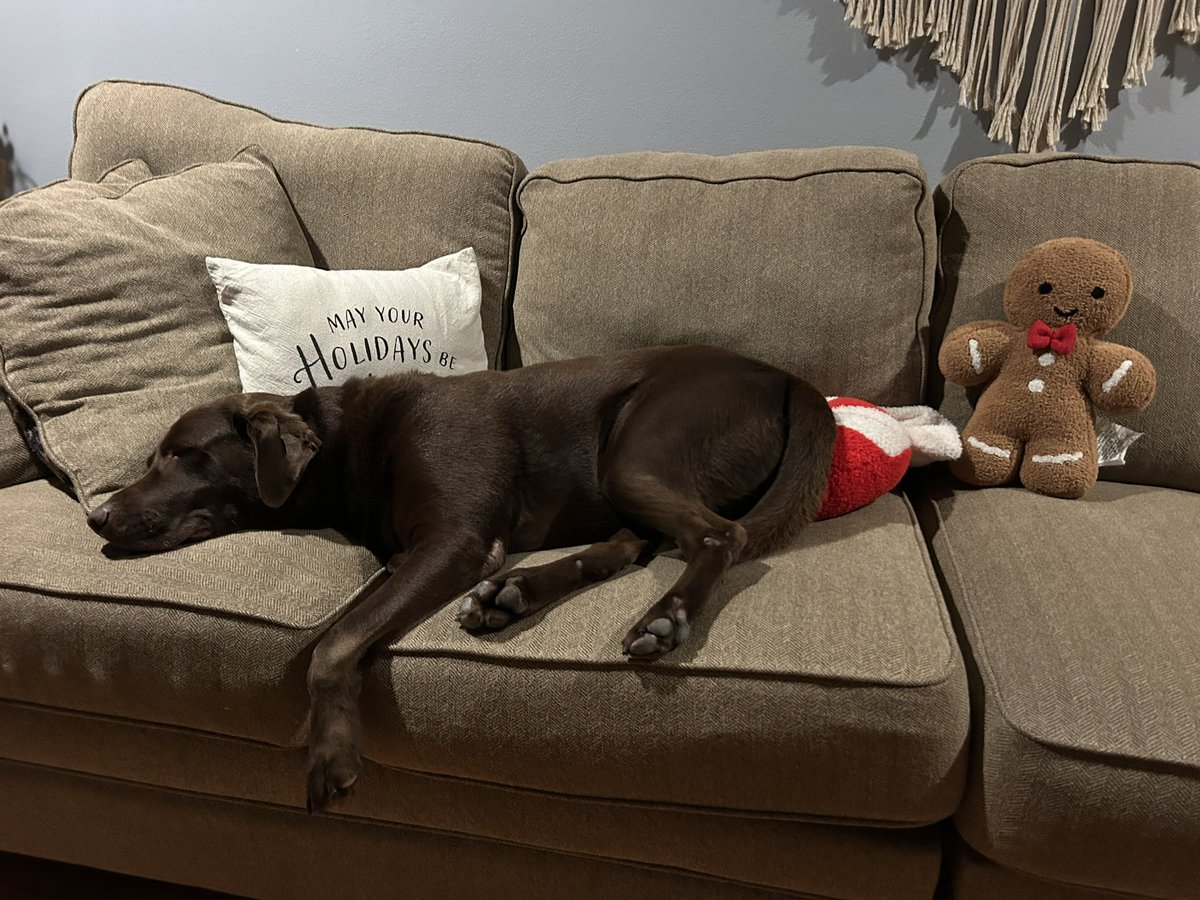 pokornstar's tweet image. Gn