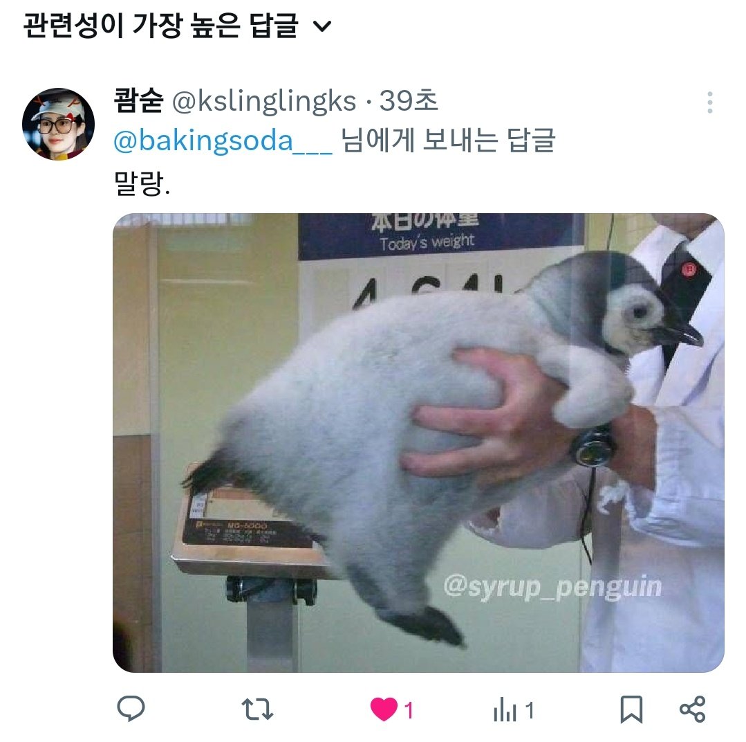 00k0511's tweet image. Today #SDKS 말랑이 어필하는 펭숙시🐧🖤🧡🐡