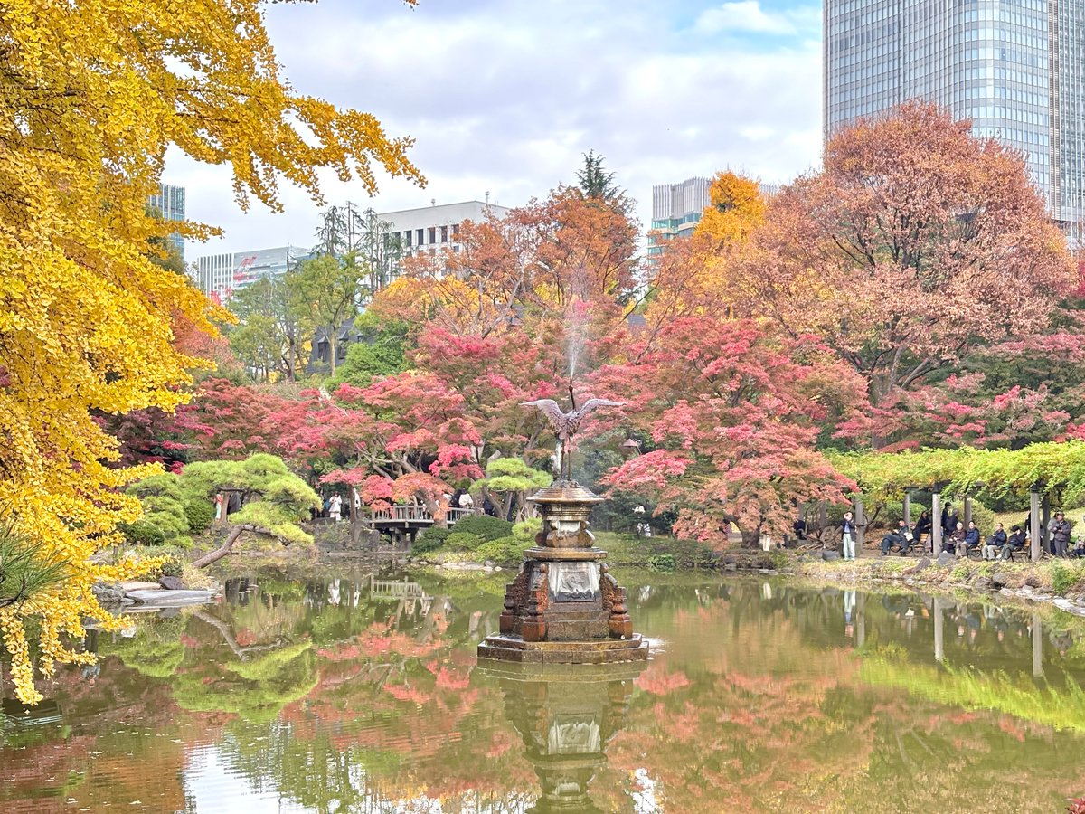 園長です。 今日の日比谷公園です。 シンボルツリーの首かけイチョウ