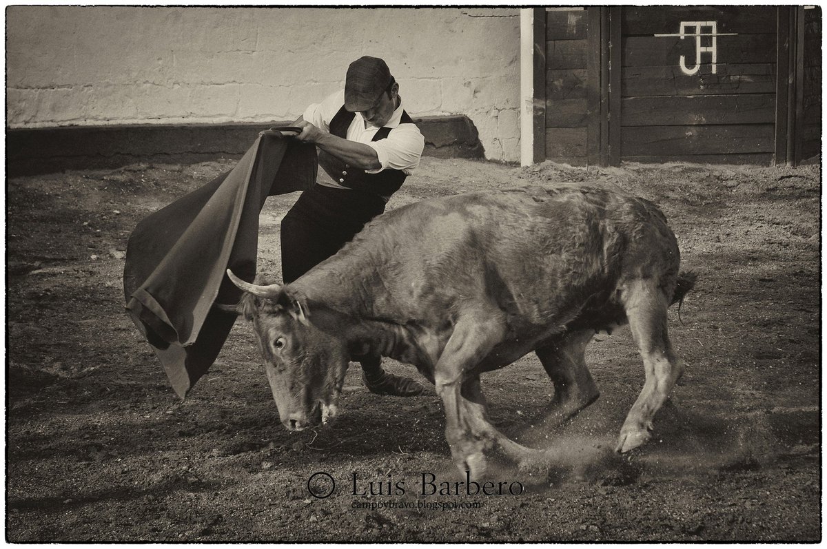 "Imanol Sánchez se forja en el campo para conquistar México en su gran gira" share.google/ecCrBPnoL1rXqJ…