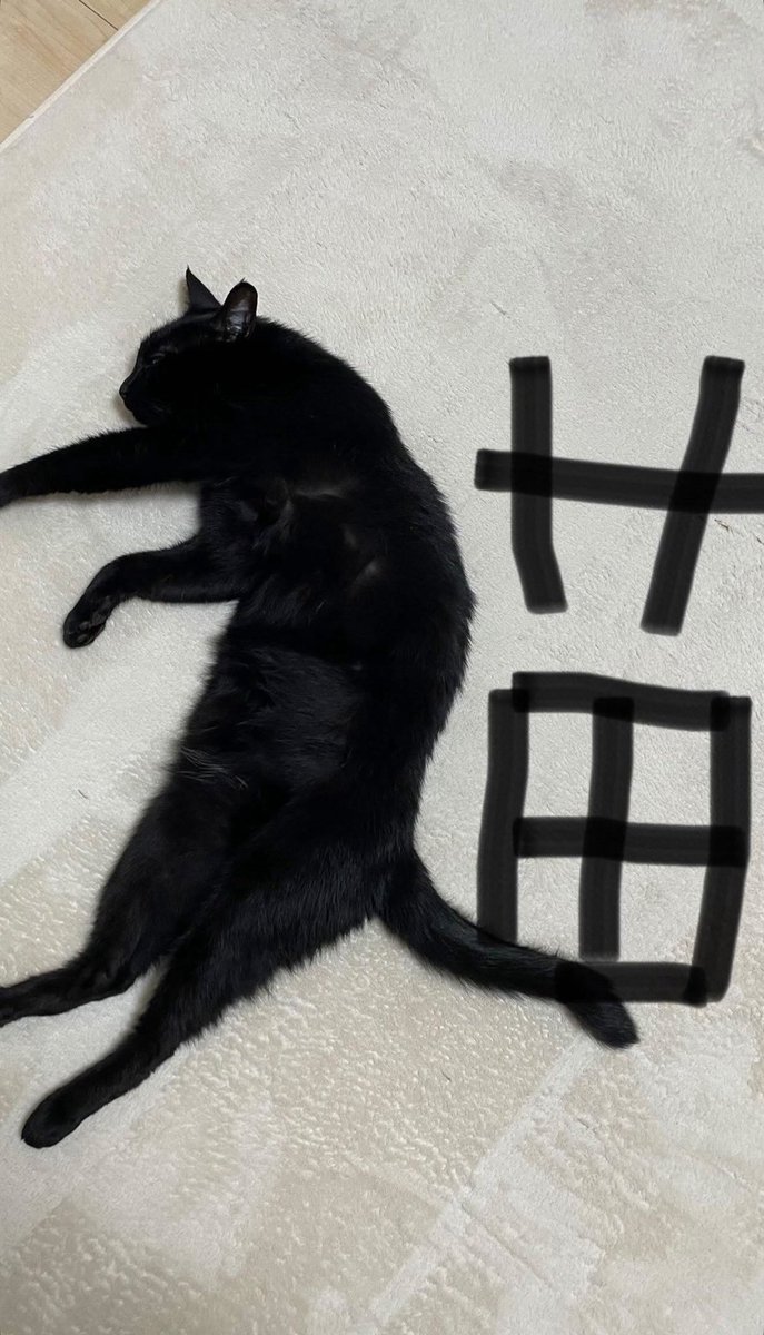 Build_FamilyFC's tweet image. IGs update [24112025] 💙✨🐈‍⬛🥰

#BuildJakapan @JakeB4rever 
#Beyourluve