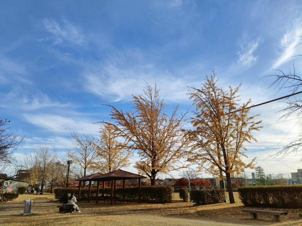 kamuiy's tweet image. 公園に行く確率が10年前より+5000%くらいある