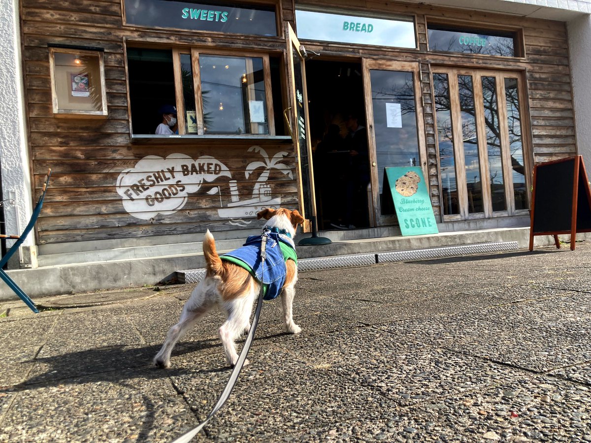 Jetsetterhiyota's tweet photo. トレッキングの途中に七里ヶ浜の丘の上に寄り道して美味しいパンを買うて来た🥖🐶帰ってワイン飲むじょ🍷
#pacificbakery https://t.co/TVb9s1I42Y