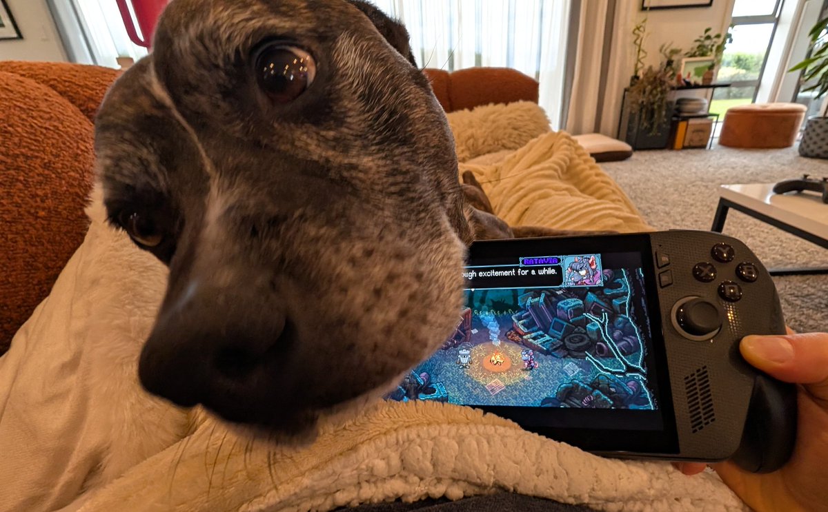 Saul Goodboi tweet media