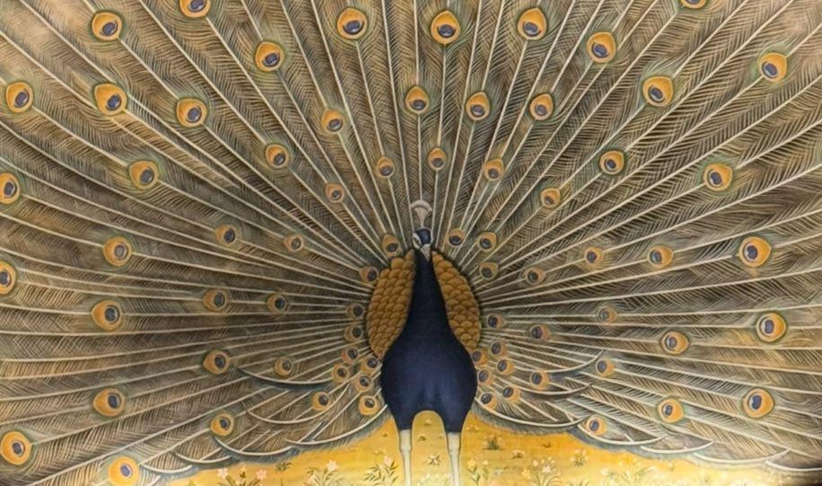 rahulprakashIPS's tweet image. 